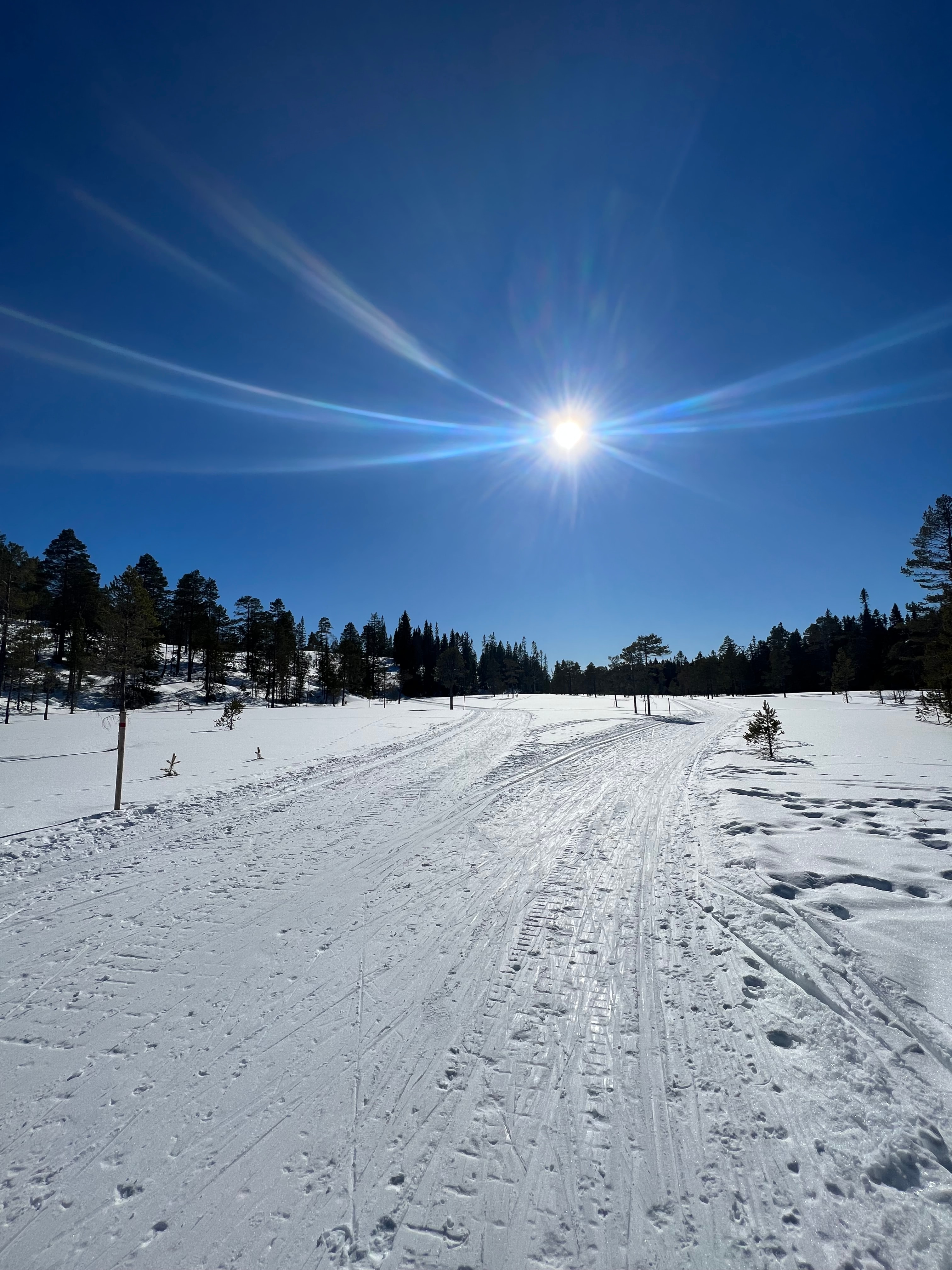 Ukas skitrening flyttes